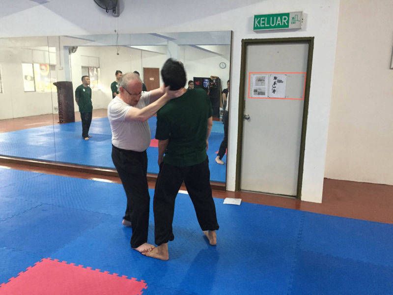 Tai Chi throwing technique