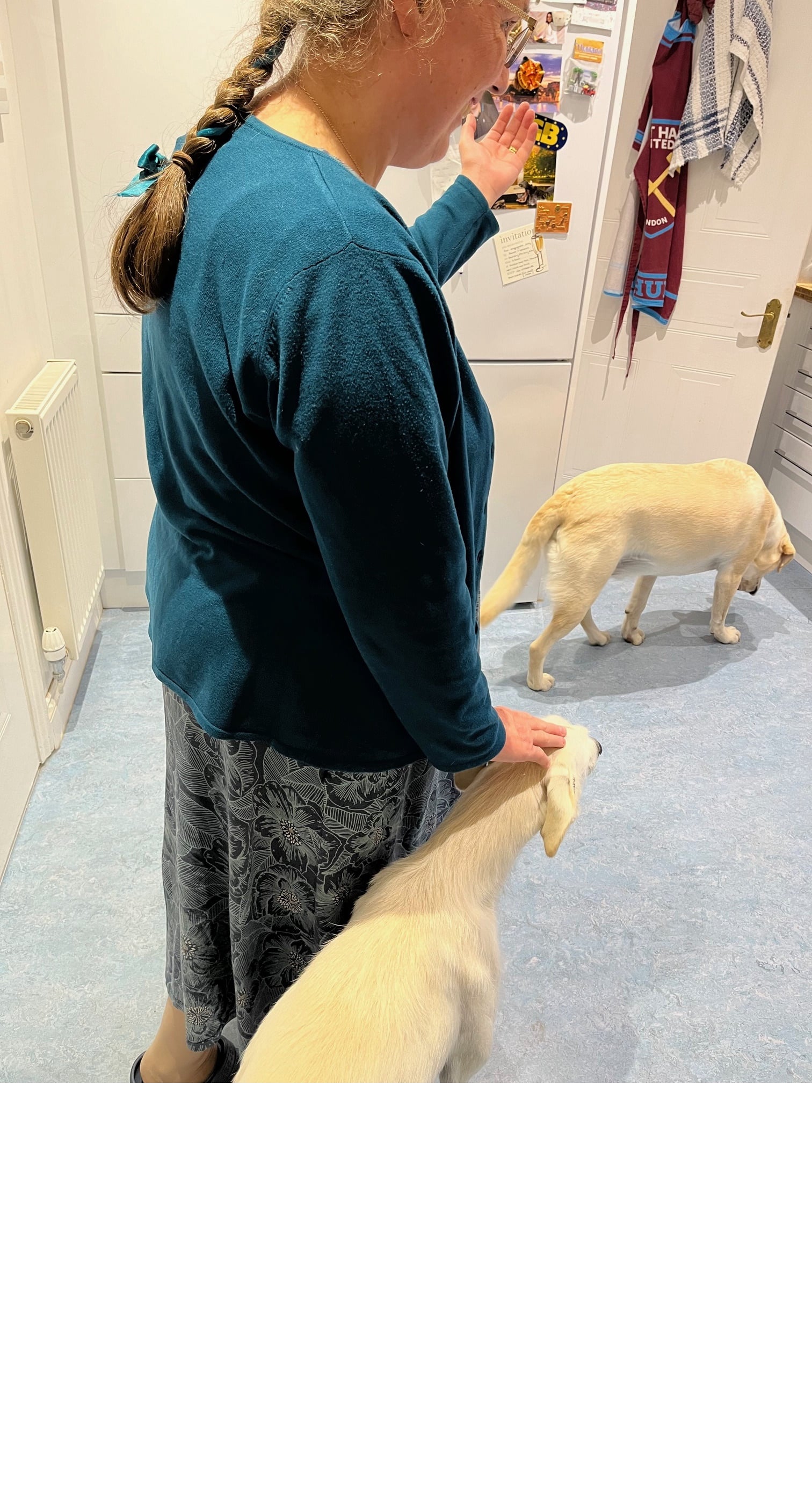 Caroline - Part wild horses mane